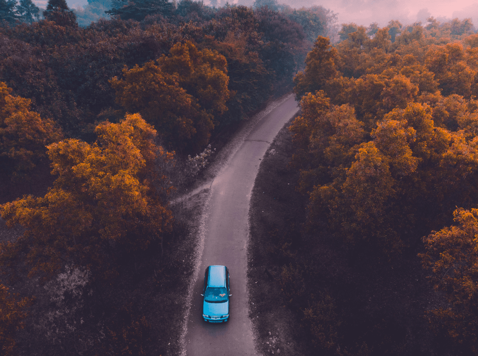 Car driving down road surrounded by orange trees.