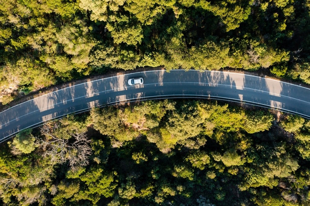 View from above of a moving car on a road surrounded by green vegetation.